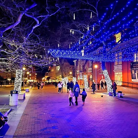 Apartament Attic - атик студио