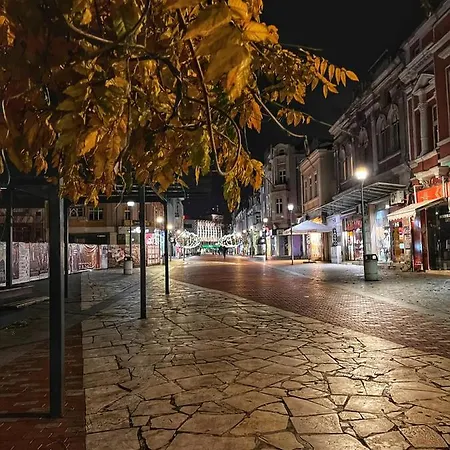 Attic - атик студио Warna