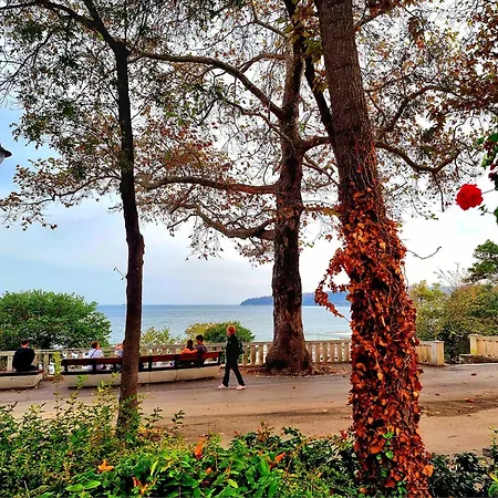 Attic - атик студио * Várna