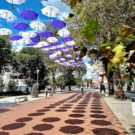 Attic - атик студио * Warna