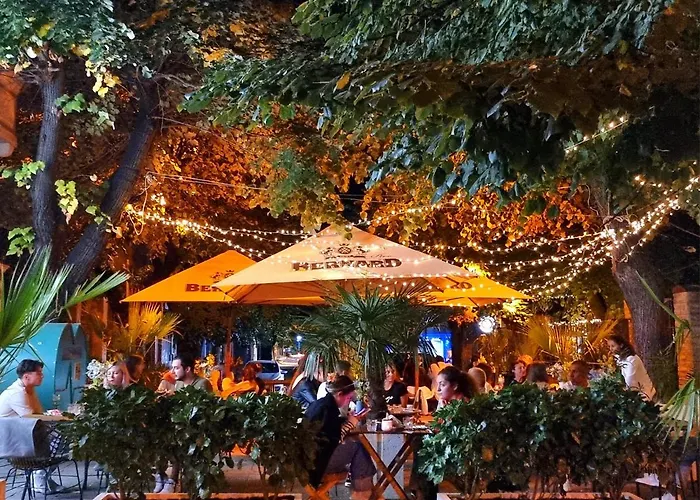 Attic - атик студио *