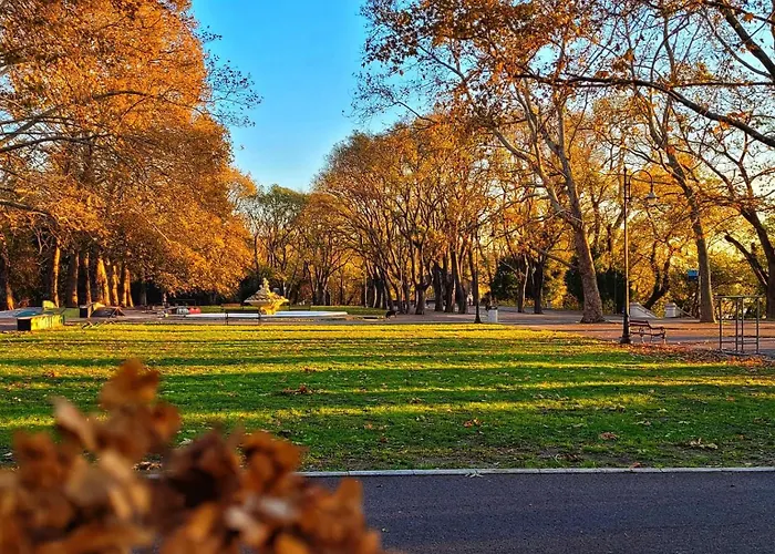 Attic - атик студио